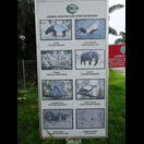 Von den hier vorkommenden Tieren haben wir bisher leider nur Makaken und etliche überfahrene Schlangen gesehen